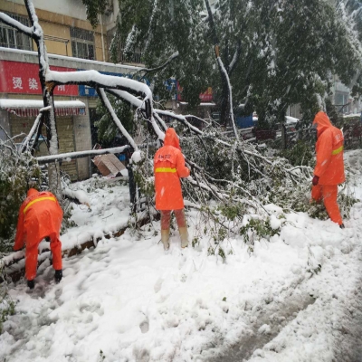 新站區(qū)道路清掃保潔、綠化管養(yǎng)項目